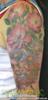 Indian Paint Brush Asters wild roses ladybug